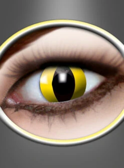 Monatslinsen Yellow Cat Gelb