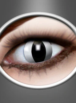 Monatslinsen Black Cat Katzenauge Weiß