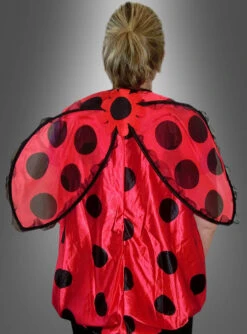 Darling Marienkäfer -Feiertag Party Laden marienkaefer fluegel 4b7108976f 3